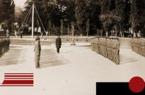 zalizyaka.livejournal.com